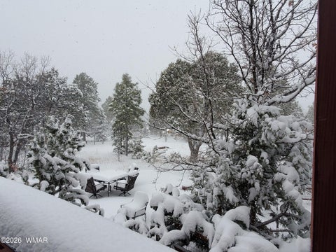 Tiny photo for 21 S Goldenrod Lane, Show Low, AZ 85901 (MLS # 261544)