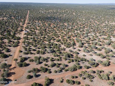 Tiny photo for 2276 Christopher Trail, Show Low, AZ 85901 (MLS # 259310)