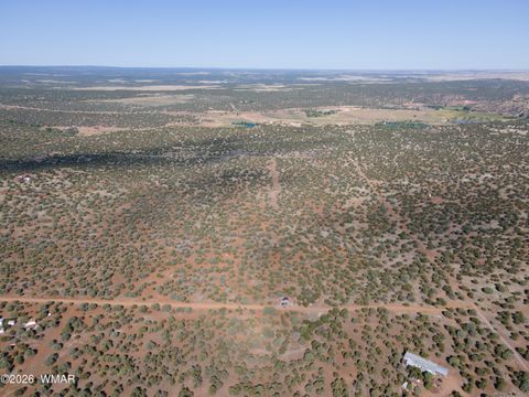 Tiny photo for 2276 Christopher Trail, Show Low, AZ 85901 (MLS # 259310)