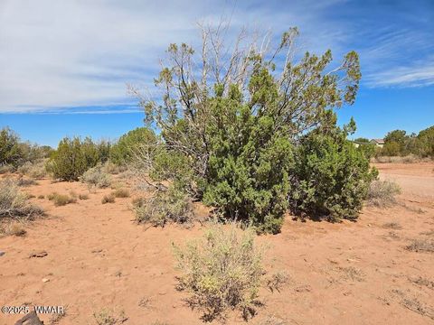 Tiny photo for 4012 Colt Road, Snowflake, AZ 85937 (MLS # 258126)