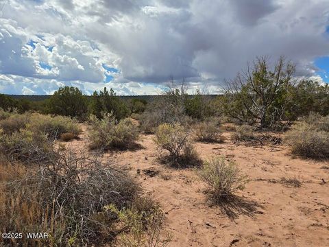 Photo of 4012 Colt Road, Snowflake, AZ 85937 (MLS # 258126)