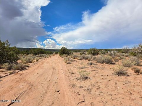 Tiny photo for 4012 Colt Road, Snowflake, AZ 85937 (MLS # 258126)
