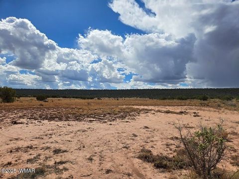 Tiny photo for 4012 Colt Road, Snowflake, AZ 85937 (MLS # 258126)