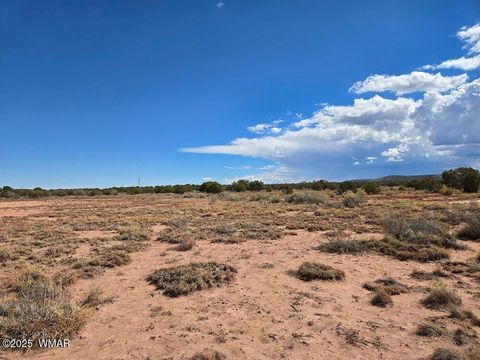 Tiny photo for 4012 Colt Road, Snowflake, AZ 85937 (MLS # 258126)
