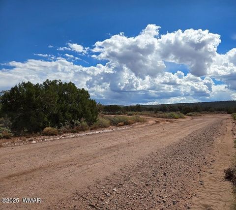 Tiny photo for 4012 Colt Road, Snowflake, AZ 85937 (MLS # 258126)