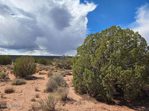 Tiny photo for 4012 Colt Road, Snowflake, AZ 85937 (MLS # 258126)