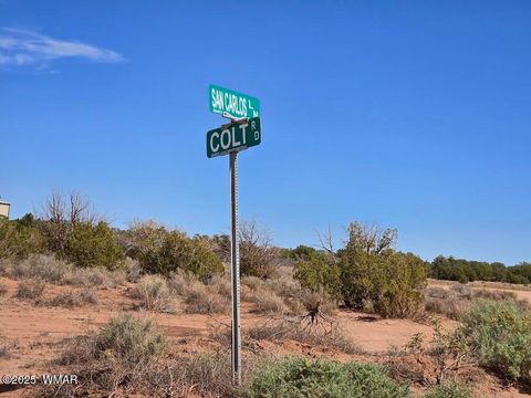 Tiny photo for 4012 Colt Road, Snowflake, AZ 85937 (MLS # 258126)