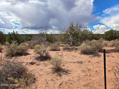Tiny photo for 4012 Colt Road, Snowflake, AZ 85937 (MLS # 258126)