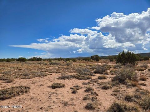Tiny photo for 4012 Colt Road, Snowflake, AZ 85937 (MLS # 258126)