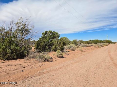 Tiny photo for 4012 Colt Road, Snowflake, AZ 85937 (MLS # 258126)