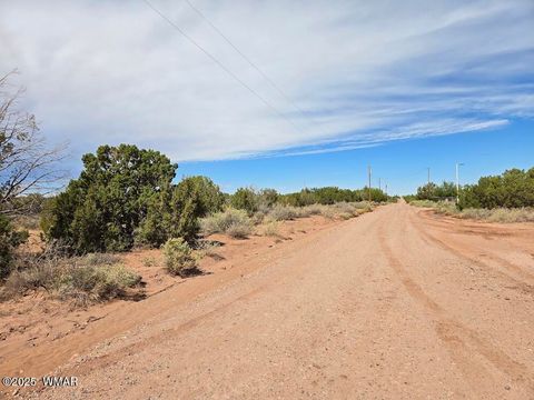 Tiny photo for 4012 Colt Road, Snowflake, AZ 85937 (MLS # 258126)