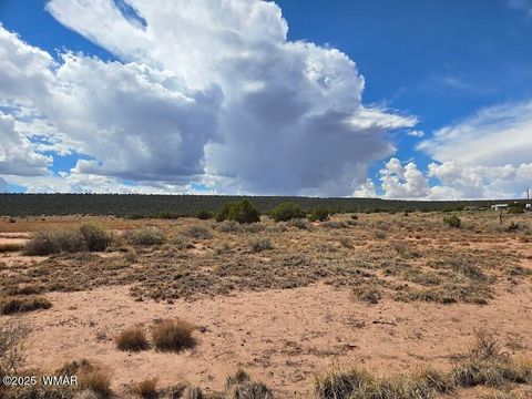 Tiny photo for 4012 Colt Road, Snowflake, AZ 85937 (MLS # 258126)