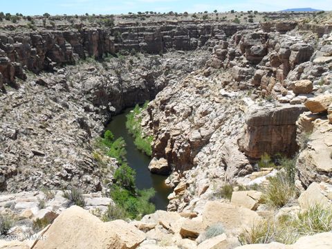 Tiny photo for L 664 CCR Unit 4 - Lot 664, Heber, AZ 85928 (MLS # 259114)