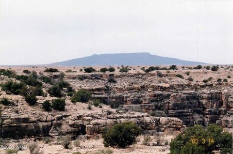 Tiny photo for L 664 CCR Unit 4 - Lot 664, Heber, AZ 85928 (MLS # 259114)