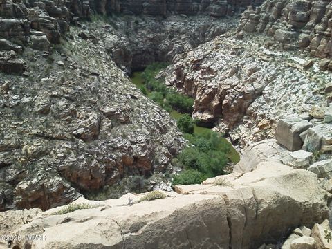 Photo of L 664 CCR Unit 4 - Lot 664, Heber, AZ 85928 (MLS # 259114)