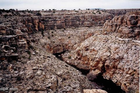 Tiny photo for L 664 CCR Unit 4 - Lot 664, Heber, AZ 85928 (MLS # 259114)