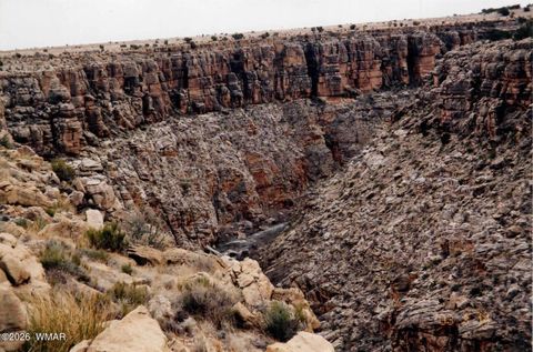 Tiny photo for L 664 CCR Unit 4 - Lot 664, Heber, AZ 85928 (MLS # 259114)