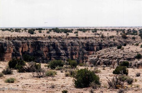 Tiny photo for L 664 CCR Unit 4 - Lot 664, Heber, AZ 85928 (MLS # 259114)