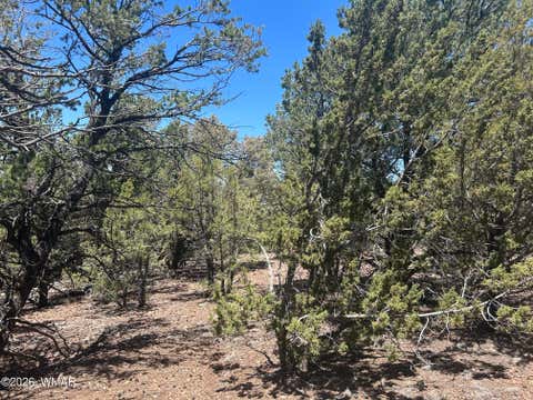 Photo of TBD LOT 37K, Vernon, AZ 85940 (MLS # 262033)
