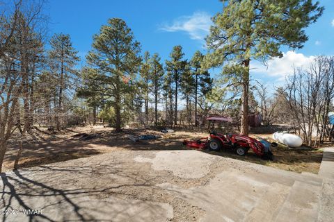 Tiny photo for 1234 Turkey Hill Road, Pinedale, AZ 85934 (MLS # 259875)