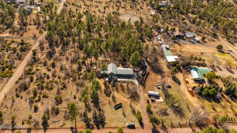 Tiny photo for 1234 Turkey Hill Road, Pinedale, AZ 85934 (MLS # 259875)