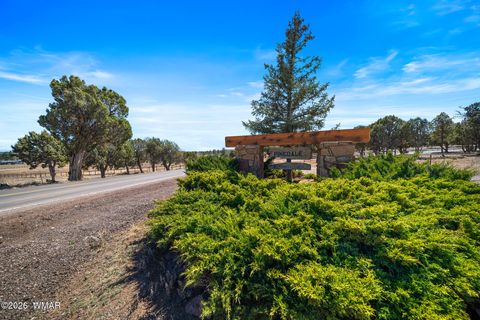 Tiny photo for 1234 Turkey Hill Road, Pinedale, AZ 85934 (MLS # 259875)