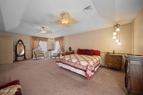 Tiny photo for 1234 Turkey Hill Road, Pinedale, AZ 85934 (MLS # 259875)