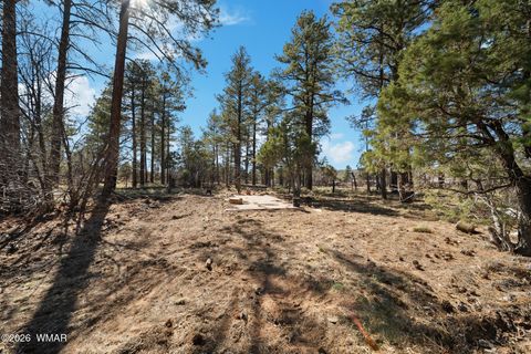 Tiny photo for 1234 Turkey Hill Road, Pinedale, AZ 85934 (MLS # 259875)