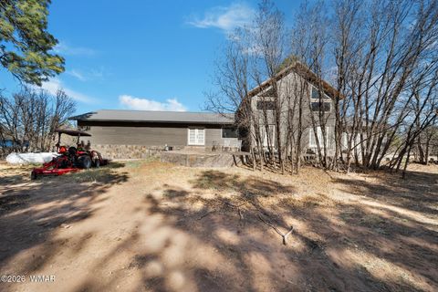 Tiny photo for 1234 Turkey Hill Road, Pinedale, AZ 85934 (MLS # 259875)