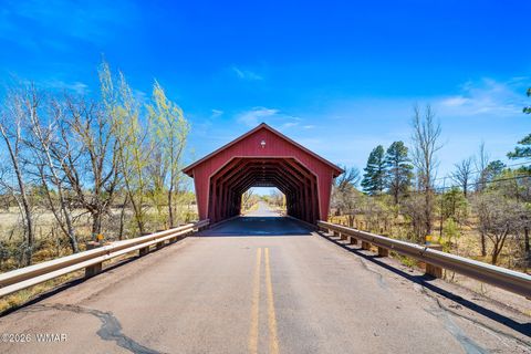 Tiny photo for 1234 Turkey Hill Road, Pinedale, AZ 85934 (MLS # 259875)