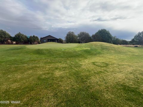 Tiny photo for 1917 Passage Drive, Show Low, AZ 85901 (MLS # 258755)