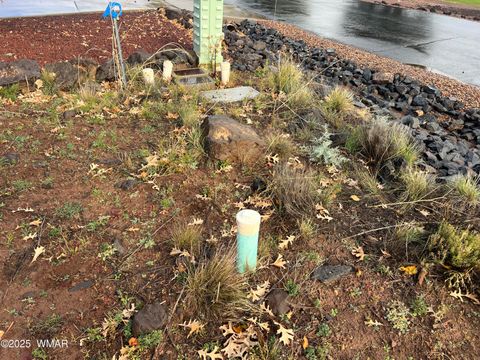 Tiny photo for 1917 Passage Drive, Show Low, AZ 85901 (MLS # 258755)