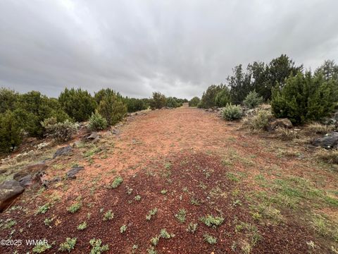 Tiny photo for 1917 Passage Drive, Show Low, AZ 85901 (MLS # 258755)
