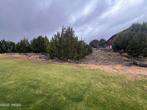 Photo of 1917 Passage Drive, Show Low, AZ 85901 (MLS # 258755)
