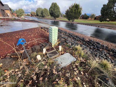 Tiny photo for 1917 Passage Drive, Show Low, AZ 85901 (MLS # 258755)