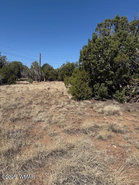 Tiny photo for 1860 Rainbow Circle, Show Low, AZ 85901 (MLS # 256678)
