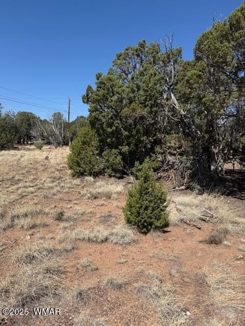 Tiny photo for 1860 Rainbow Circle, Show Low, AZ 85901 (MLS # 256678)