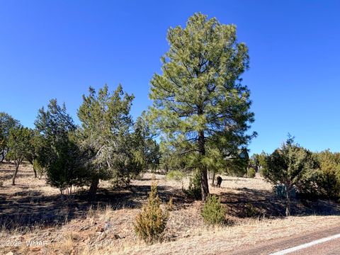 Tiny photo for 3344 Stone Bridge Trail, Heber, AZ 85928 (MLS # 259889)