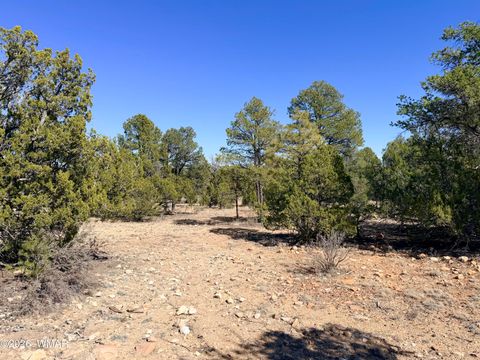 Tiny photo for 3344 Stone Bridge Trail, Heber, AZ 85928 (MLS # 259889)