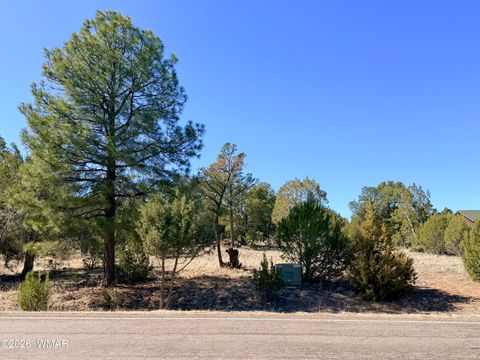 Photo of 3344 Stone Bridge Trail, Heber, AZ 85928 (MLS # 259889)