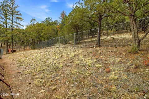 Tiny photo for 169 County Road 2108, Nutrioso, AZ 85932 (MLS # 261019)