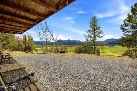 Tiny photo for 169 County Road 2108, Nutrioso, AZ 85932 (MLS # 261019)