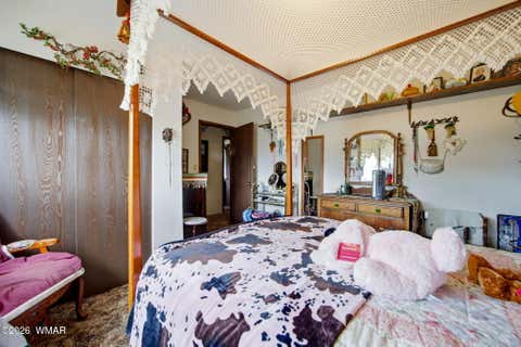 Tiny photo for 169 County Road 2108, Nutrioso, AZ 85932 (MLS # 261019)