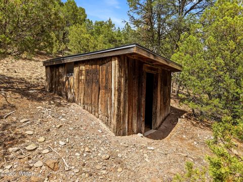 Tiny photo for 169 County Road 2108, Nutrioso, AZ 85932 (MLS # 261019)