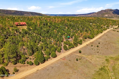 Tiny photo for 169 County Road 2108, Nutrioso, AZ 85932 (MLS # 261019)