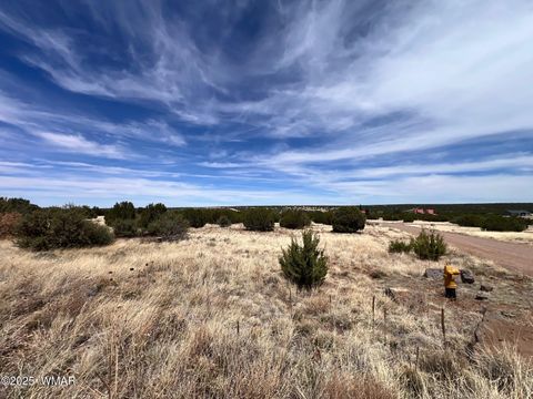 Tiny photo for 8542 Airport, White Mountain Lake, AZ 85912 (MLS # 258950)
