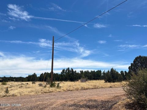 Tiny photo for 8542 Airport, White Mountain Lake, AZ 85912 (MLS # 258950)