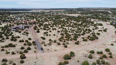 Tiny photo for 8542 Airport, White Mountain Lake, AZ 85912 (MLS # 258950)