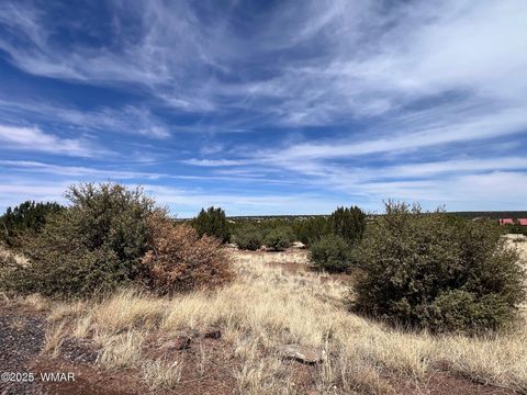 Tiny photo for 8542 Airport, White Mountain Lake, AZ 85912 (MLS # 258950)