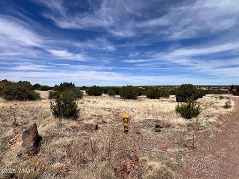 Tiny photo for 8542 Airport, White Mountain Lake, AZ 85912 (MLS # 258950)